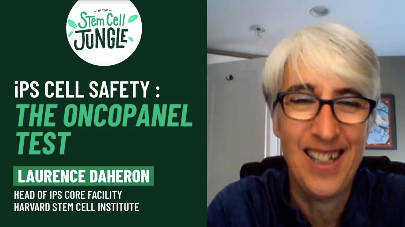 iPS cell safety : the Oncopanel Test I Laurence Daheron I In the Stem Cell Jungle