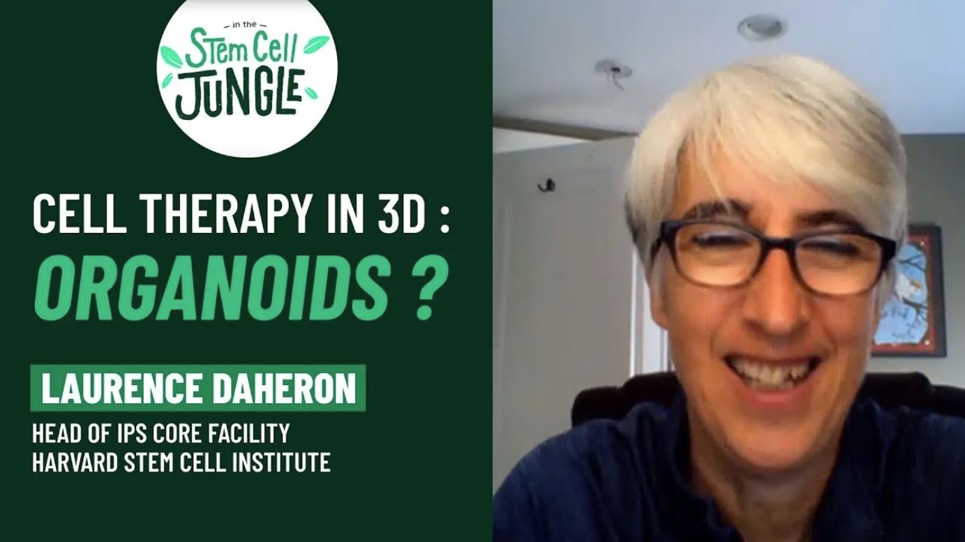 Cell therapy in 3D : Organoids ? I Laurence Daheron I In the Stem Cell Jungle