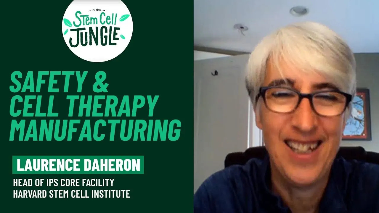 Safety & Cell Therapy Manufacturing I Laurence Daheron I In the Stem Cell Jungle