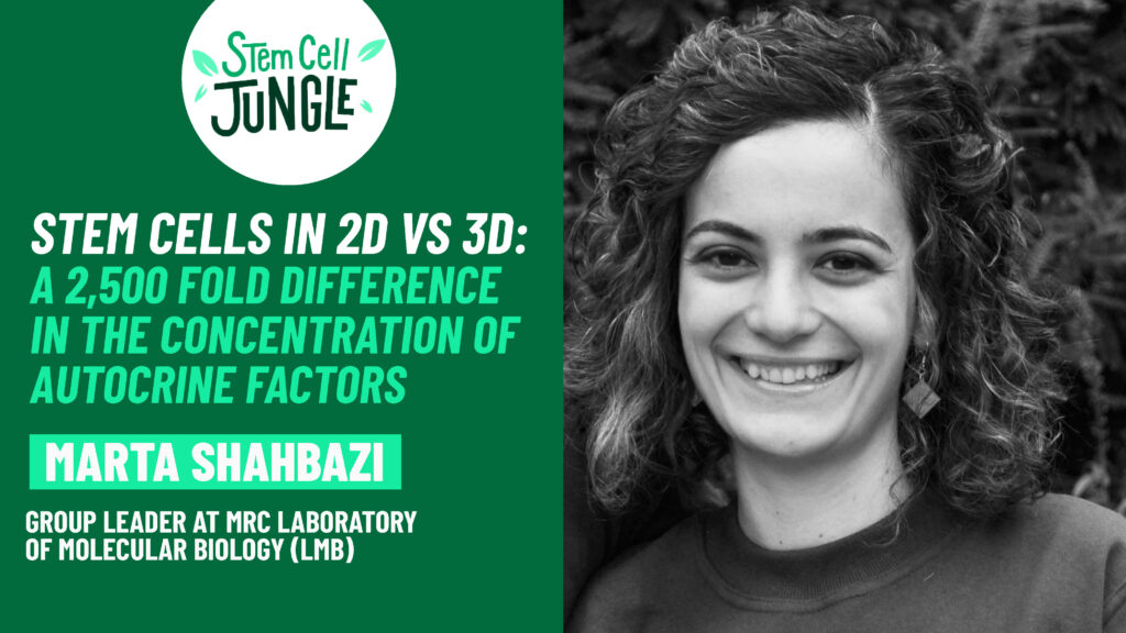 Stem cells in 2D vs 3D : a 2,500-fold difference in the concentration of autocrine factors | Marta Shahbazi | In the Stem Cell Jungle