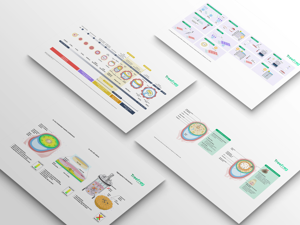 hiPSC illustrations TreeFrog Therapeutics