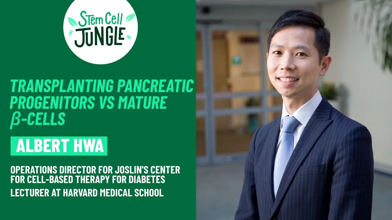 Transplanting Pancreatic Progenitors Vs Mature β-Cells hwa