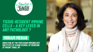 Tissue-resident immune cells – a key lever in any pathology ? Miriam Merad | In The Stem Cell Jungle