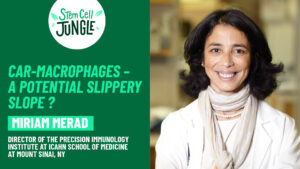 CAR-macrophages – a potential slippery slope ? Miriam Merad | In The Stem Cell Jungle