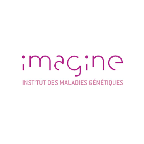 Imagine Institute